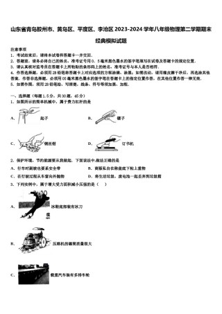 山东省青岛胶州市、黄岛区、平度区、李沧区2023-2024学年八年级物理第二学期期末经典模拟试题含解析.doc