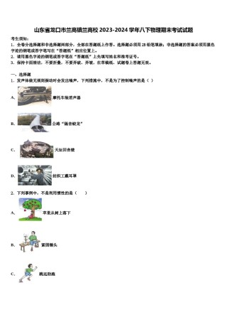 山东省龙口市兰高镇兰高校2023-2024学年八下物理期末考试试题含解析.doc