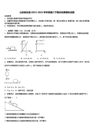 山东阳谷县2023-2024学年物理八下期末经典模拟试题含解析.doc