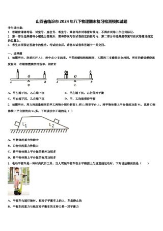 山西省临汾市2024年八下物理期末复习检测模拟试题含解析.doc
