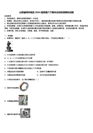 山西省朔州地区2024届物理八下期末达标检测模拟试题含解析.doc