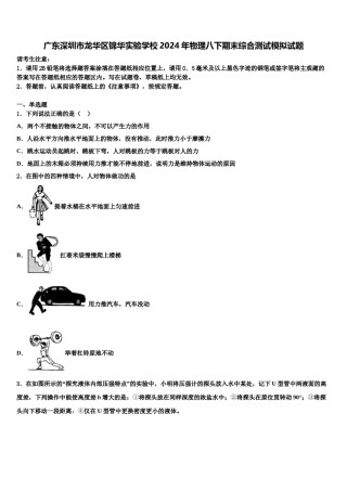 广东深圳市龙华区锦华实验学校2024年物理八下期末综合测试模拟试题含解析.doc