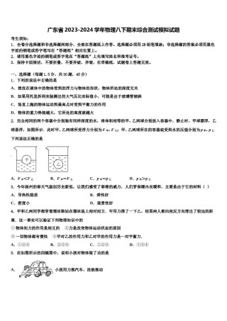 广东省2023-2024学年物理八下期末综合测试模拟试题含解析.doc