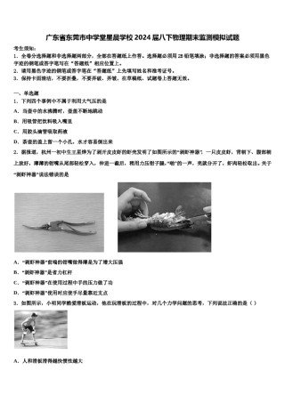 广东省东莞市中学堂星晨学校2024届八下物理期末监测模拟试题含解析.doc