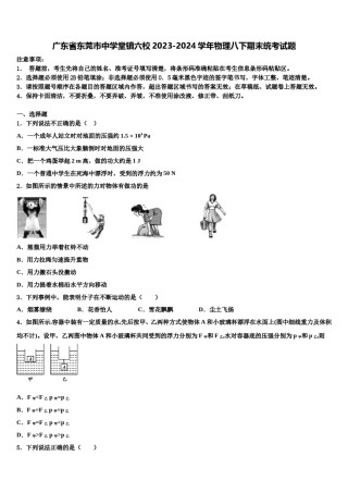 广东省东莞市中学堂镇六校2023-2024学年物理八下期末统考试题含解析.doc