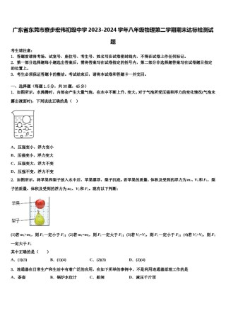 广东省东莞市寮步宏伟初级中学2023-2024学年八年级物理第二学期期末达标检测试题含解析.doc