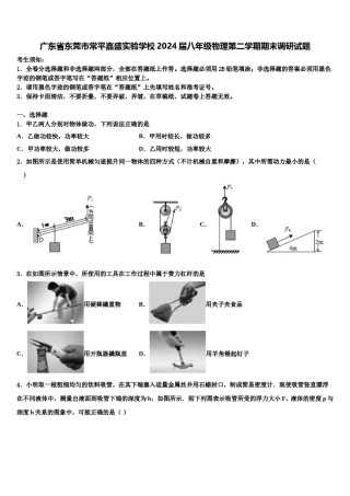 广东省东莞市常平嘉盛实验学校2024届八年级物理第二学期期末调研试题含解析.doc