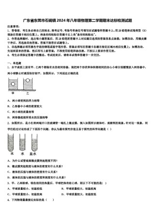 广东省东莞市石碣镇2024年八年级物理第二学期期末达标检测试题含解析.doc