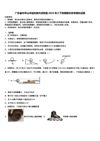 广东省中学山市城东教共进联盟2024年八下物理期末统考模拟试题含解析.doc