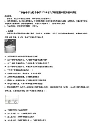 广东省中学山纪念中学2024年八下物理期末监测模拟试题含解析.doc