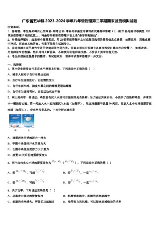 广东省五华县2023-2024学年八年级物理第二学期期末监测模拟试题含解析.doc