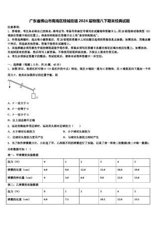 广东省佛山市南海区桂城街道2024届物理八下期末经典试题含解析.doc