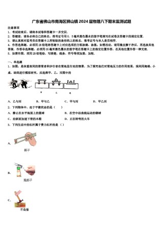 广东省佛山市南海区狮山镇2024届物理八下期末监测试题含解析.doc