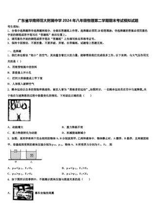 广东省华南师范大附属中学2024年八年级物理第二学期期末考试模拟试题含解析.doc