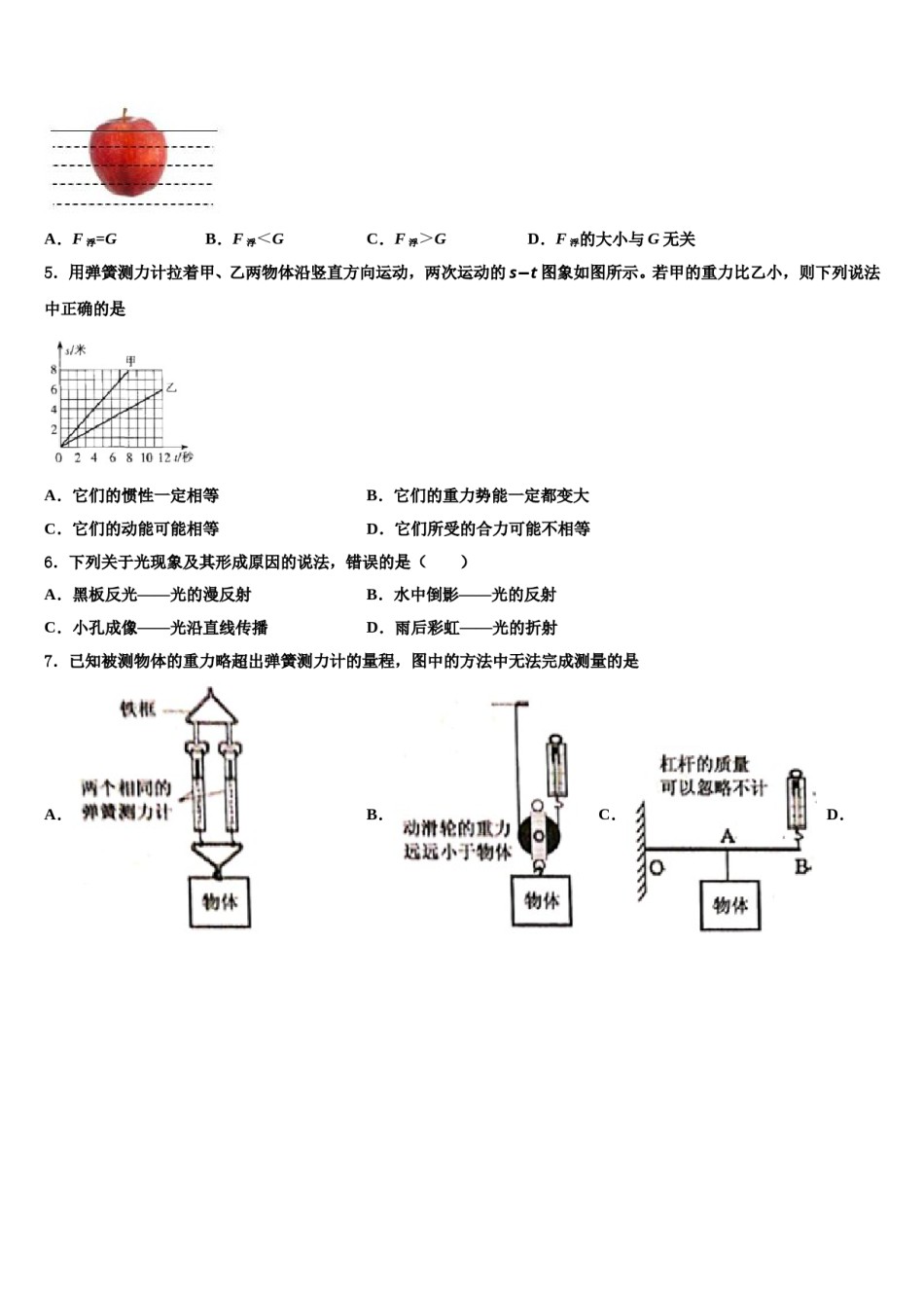 广东省华师附中新世界学校2024年物理八下期末考试试题含解析.doc_第2页