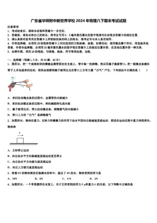 广东省华师附中新世界学校2024年物理八下期末考试试题含解析.doc