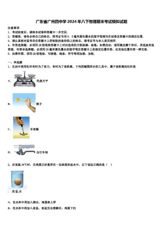广东省广州四中学2024年八下物理期末考试模拟试题含解析.doc