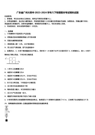 广东省广州大附中2023-2024学年八下物理期末考试模拟试题含解析.doc