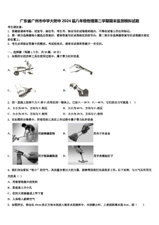 广东省广州市中学大附中2024届八年级物理第二学期期末监测模拟试题含解析.doc