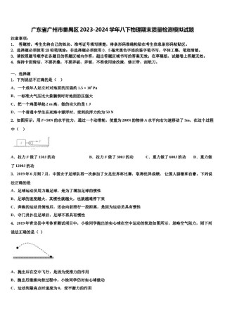 广东省广州市番禺区2023-2024学年八下物理期末质量检测模拟试题含解析.doc