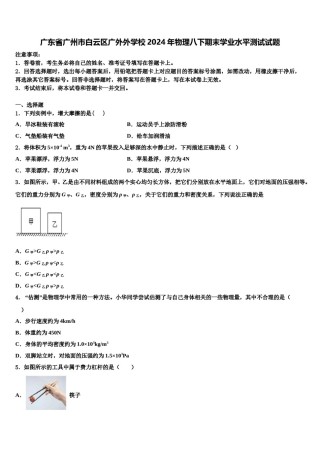 广东省广州市白云区广外外学校2024年物理八下期末学业水平测试试题含解析.doc