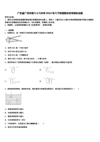 广东省广州市第八十六中学2024年八下物理期末统考模拟试题含解析.doc