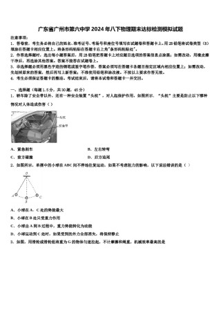 广东省广州市第六中学2024年八下物理期末达标检测模拟试题含解析.doc