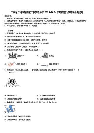 广东省广州市越秀区广东实验中学2023-2024学年物理八下期末经典试题含解析.doc
