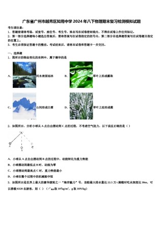 广东省广州市越秀区知用中学2024年八下物理期末复习检测模拟试题含解析.doc