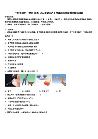 广东省惠州一中学2023-2024学年八下物理期末质量检测模拟试题含解析.doc