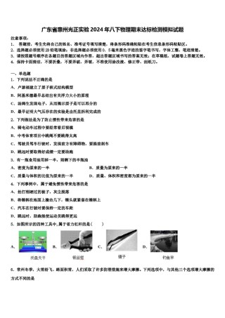 广东省惠州光正实验2024年八下物理期末达标检测模拟试题含解析.doc