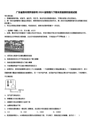 广东省惠州博罗县联考2024届物理八下期末质量跟踪监视试题含解析.doc