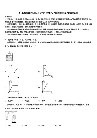 广东省惠州市2023-2024学年八下物理期末复习检测试题含解析.doc