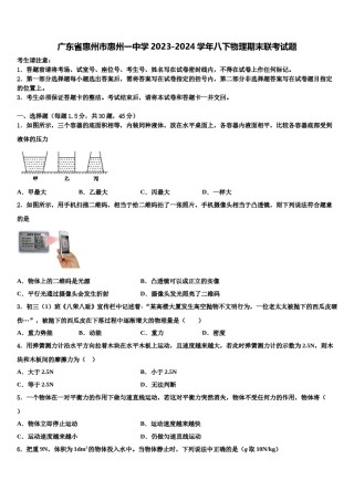 广东省惠州市惠州一中学2023-2024学年八下物理期末联考试题含解析.doc