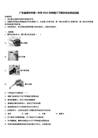 广东省惠州市第一中学2024年物理八下期末综合测试试题含解析.doc