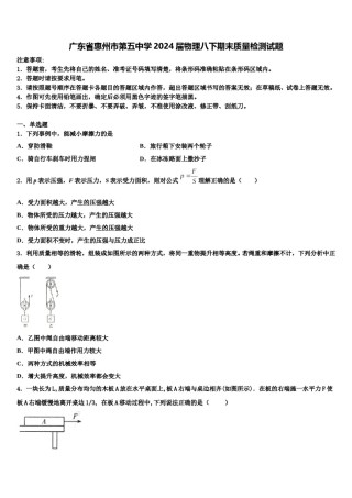 广东省惠州市第五中学2024届物理八下期末质量检测试题含解析.doc
