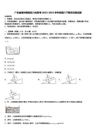 广东省惠州惠阳区六校联考2023-2024学年物理八下期末经典试题含解析.doc
