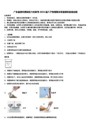 广东省惠州惠阳区六校联考2024届八下物理期末质量跟踪监视试题含解析.doc