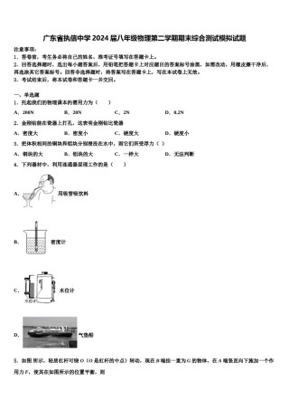 广东省执信中学2024届八年级物理第二学期期末综合测试模拟试题含解析.doc