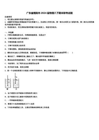 广东省揭阳市2024届物理八下期末联考试题含解析.doc