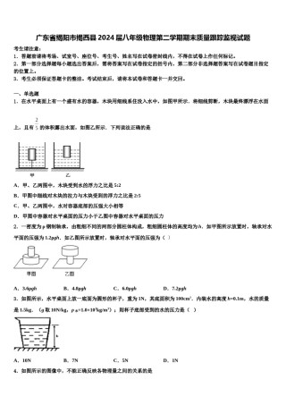 广东省揭阳市揭西县2024届八年级物理第二学期期末质量跟踪监视试题含解析.doc