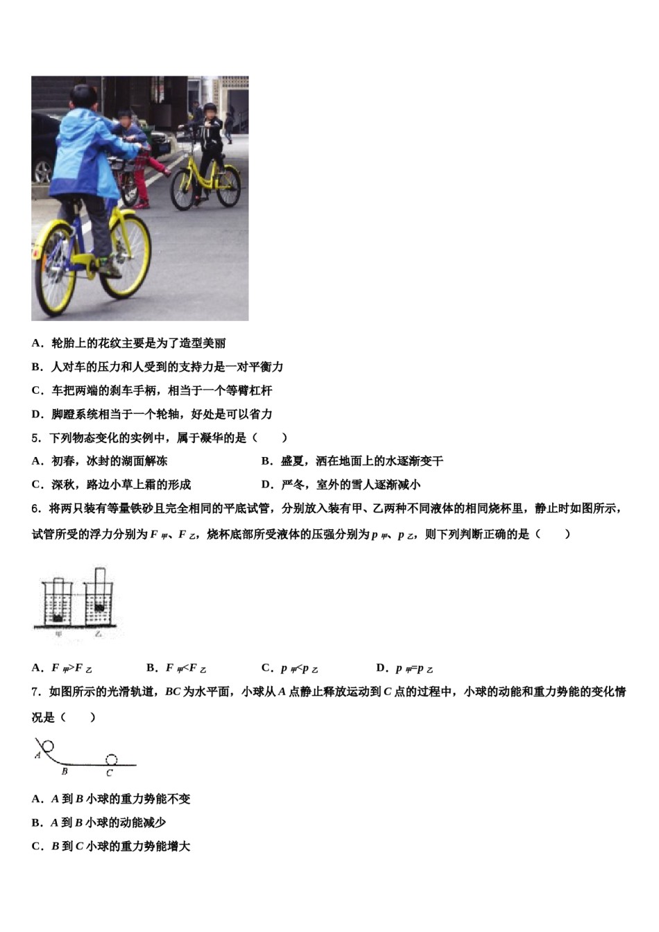 广东省新朗实验学校2023-2024学年八下物理期末调研试题含解析.doc_第2页