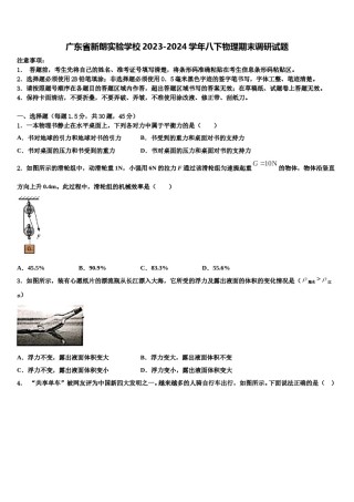 广东省新朗实验学校2023-2024学年八下物理期末调研试题含解析.doc