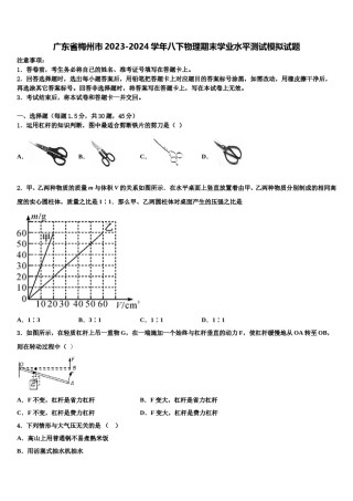 广东省梅州市2023-2024学年八下物理期末学业水平测试模拟试题含解析.doc