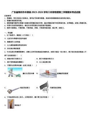 广东省梅州市丰顺县2023-2024学年八年级物理第二学期期末考试试题含解析.doc