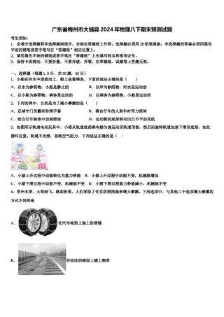 广东省梅州市大埔县2024年物理八下期末预测试题含解析.doc