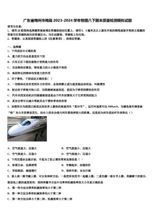 广东省梅州市梅县2023-2024学年物理八下期末质量检测模拟试题含解析.doc