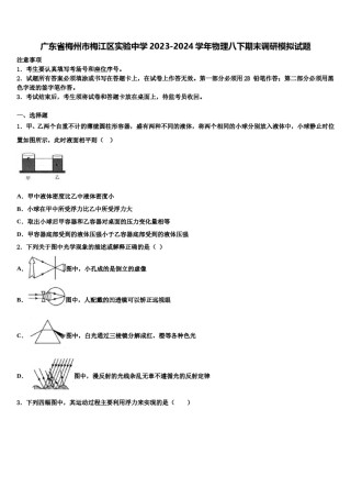 广东省梅州市梅江区实验中学2023-2024学年物理八下期末调研模拟试题含解析.doc