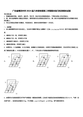 广东省横沥中学2024届八年级物理第二学期期末复习检测模拟试题含解析.doc