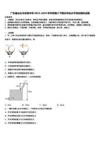 广东省汕头市友联中学2023-2024学年物理八下期末学业水平测试模拟试题含解析.doc